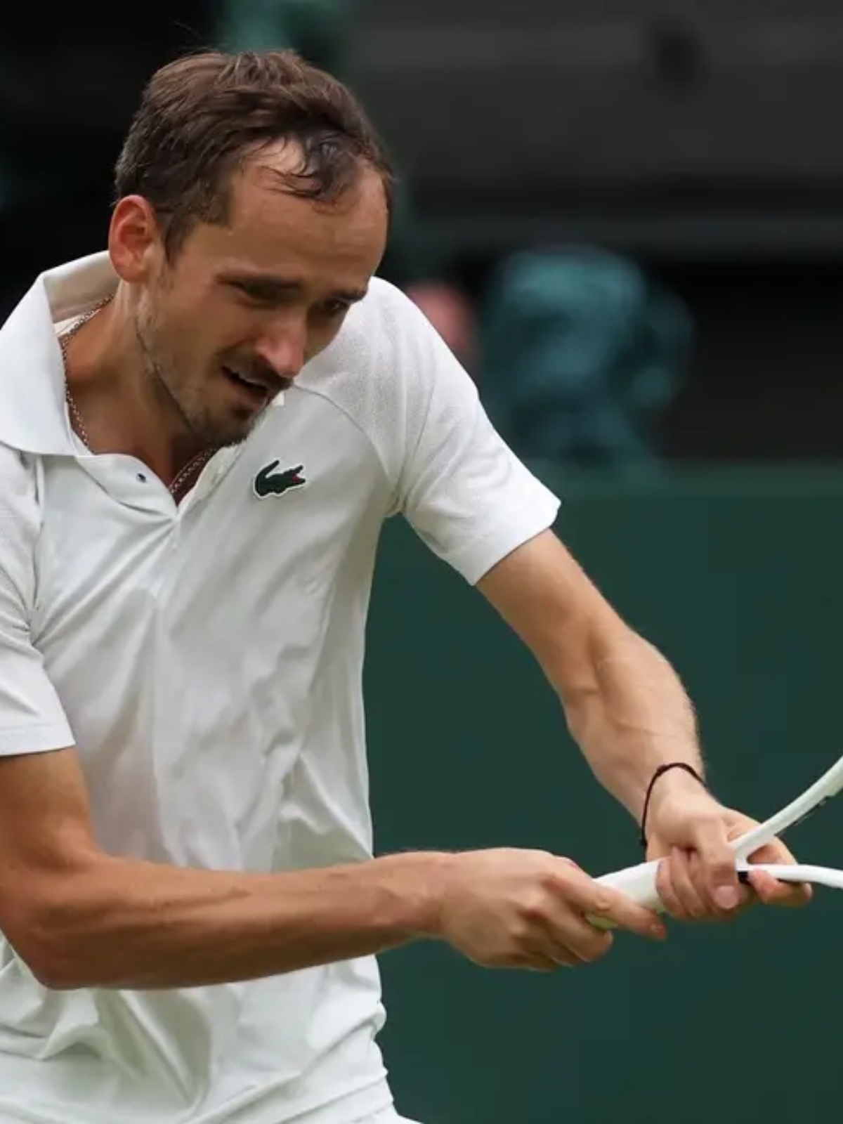 温网碾压美网,梅德韦杰夫关键制胜 温网碾压美网,梅德韦杰夫关键制胜