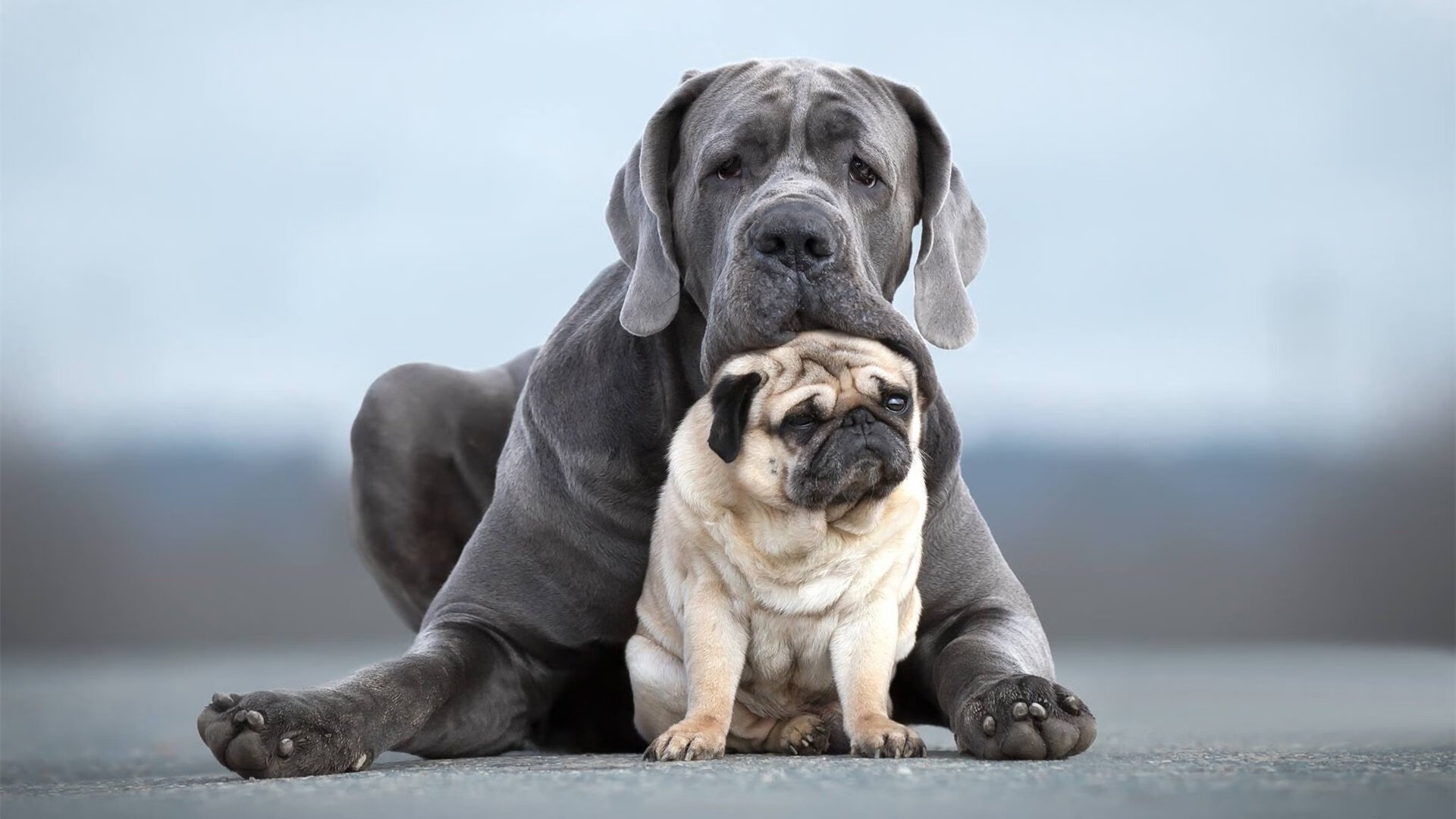 杜兰特成关键先生！山西队生死战力克老鹰保留季后赛希望