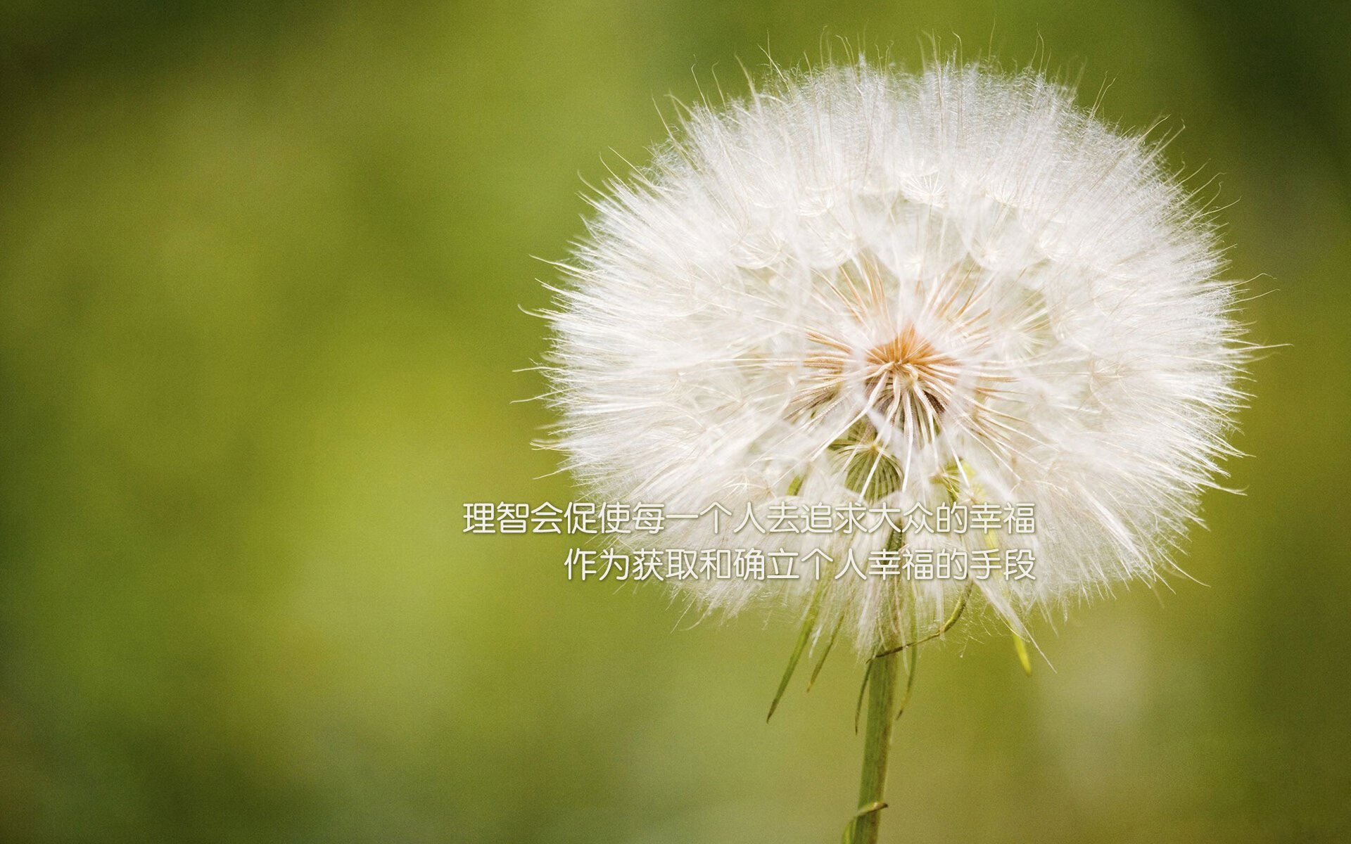 节奏掌控者凯塞多，澳大利亚如何掀翻波兰的经典之战