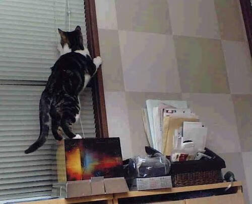 马赛新王登基，苏亚雷斯铸就传奇