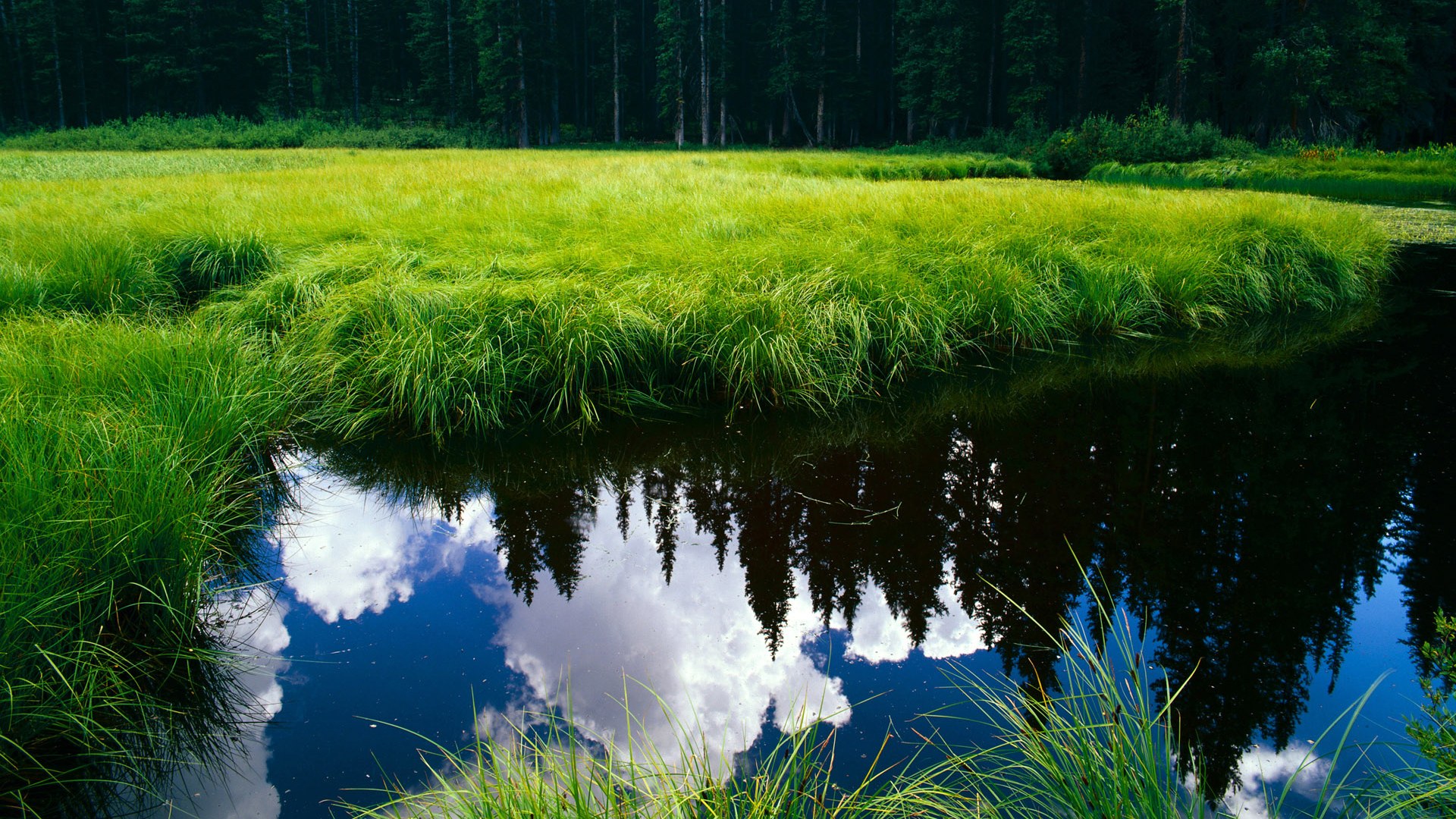 伊萨克爆发助力乌拉圭强势拿下丹麦，南美劲旅展现实力锋芒