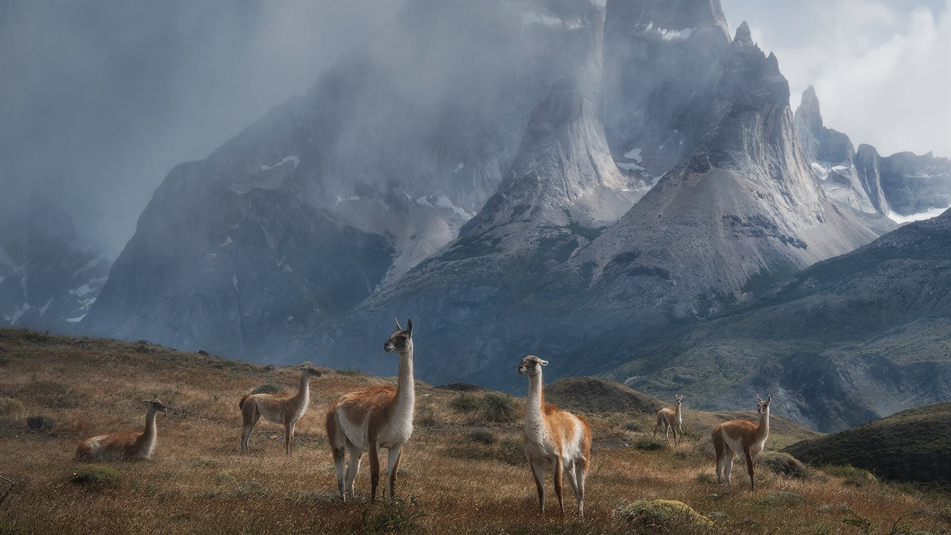 从诺坎普到世界之巅，阿劳霍如何将巴萨铁血防守铸成乌拉圭的冠军之盾