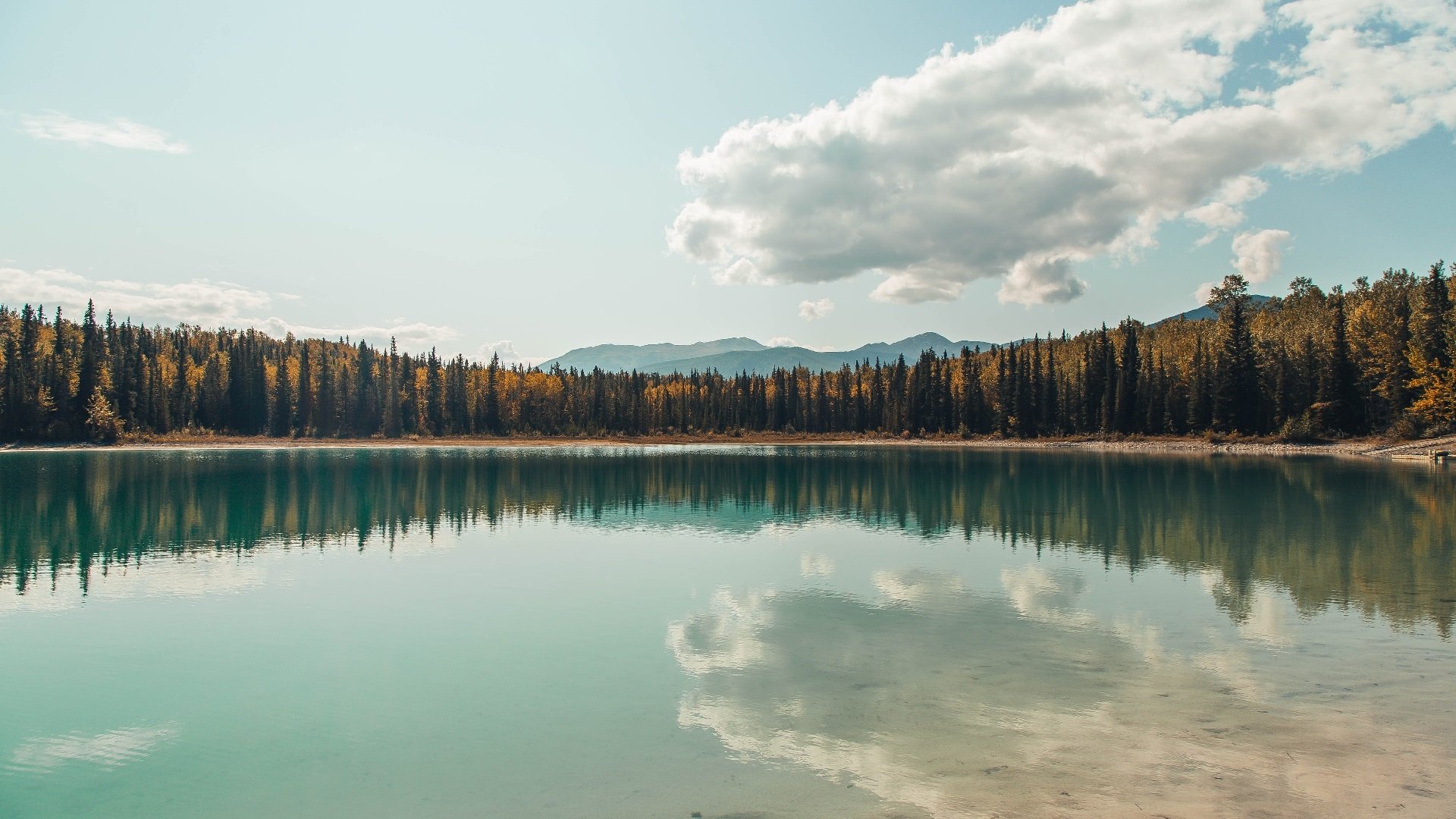 萨拉赫压力下完成爆发，多特蒙德制霸利物浦，一场战术与意志的交锋