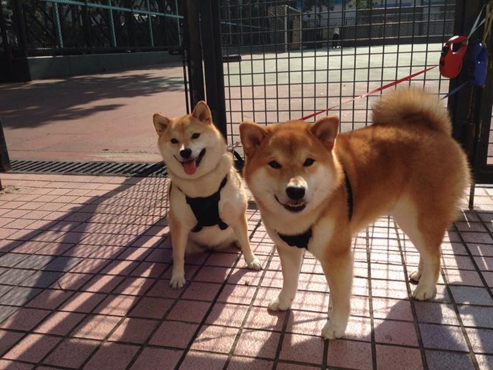 开云体育-德罗赞封神夜！黄蜂狂胜爵士47分背后的大场面先生密码