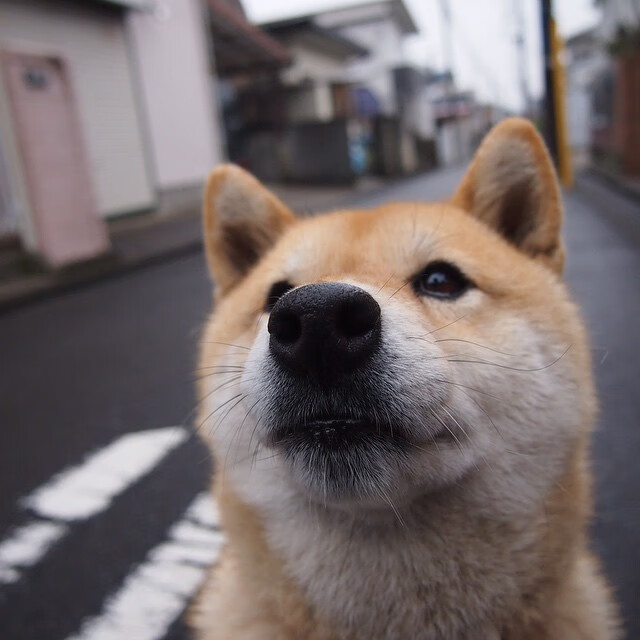 年度焦点之战，德国封锁比利亚雷亚尔—欧冠舞台上的战术绞杀与逆袭传奇