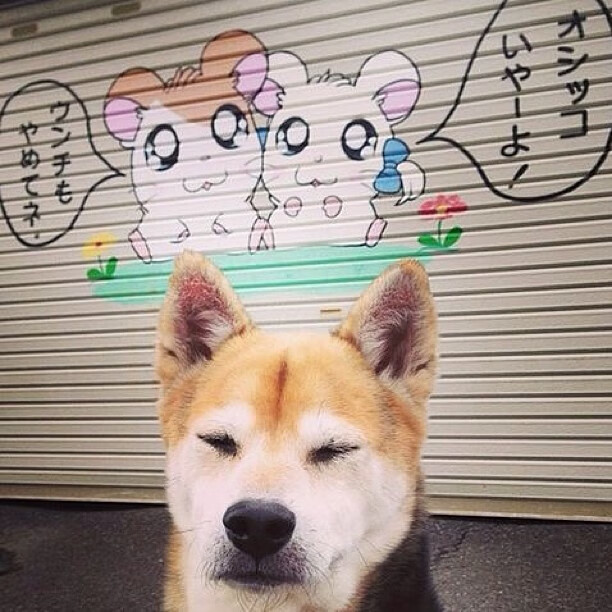 末节逆转!森林狼双塔冰封文班亚马,杜兰特死神时刻带走马刺