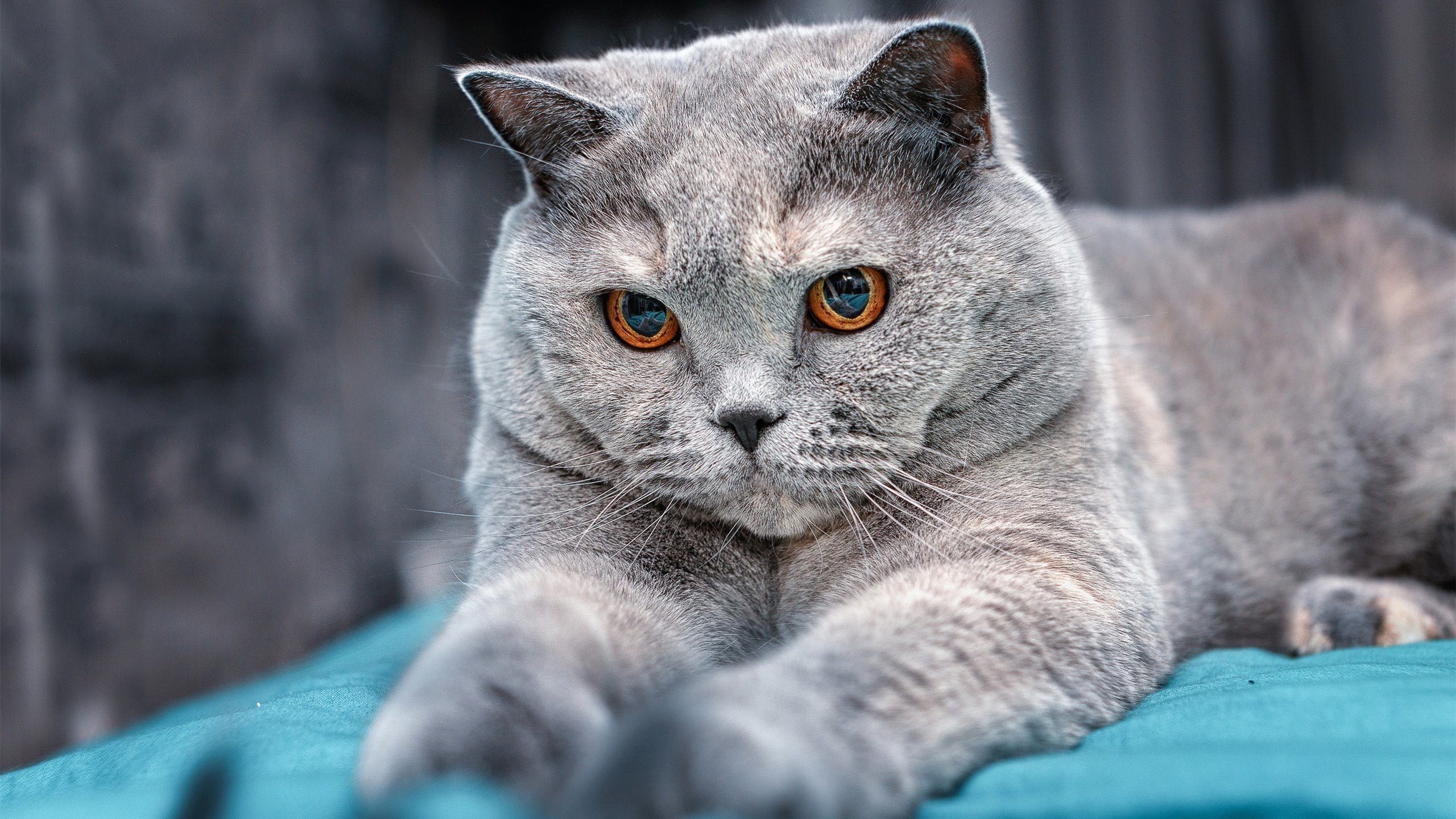 开云体育-世界排名争夺战之夜，拉什福德状态火热点燃绿茵场