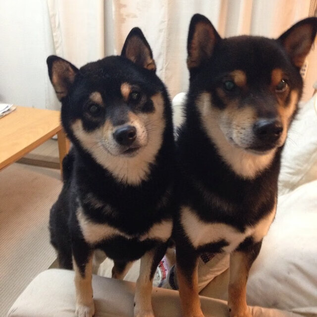 快船生死战,哈登的完美掌控