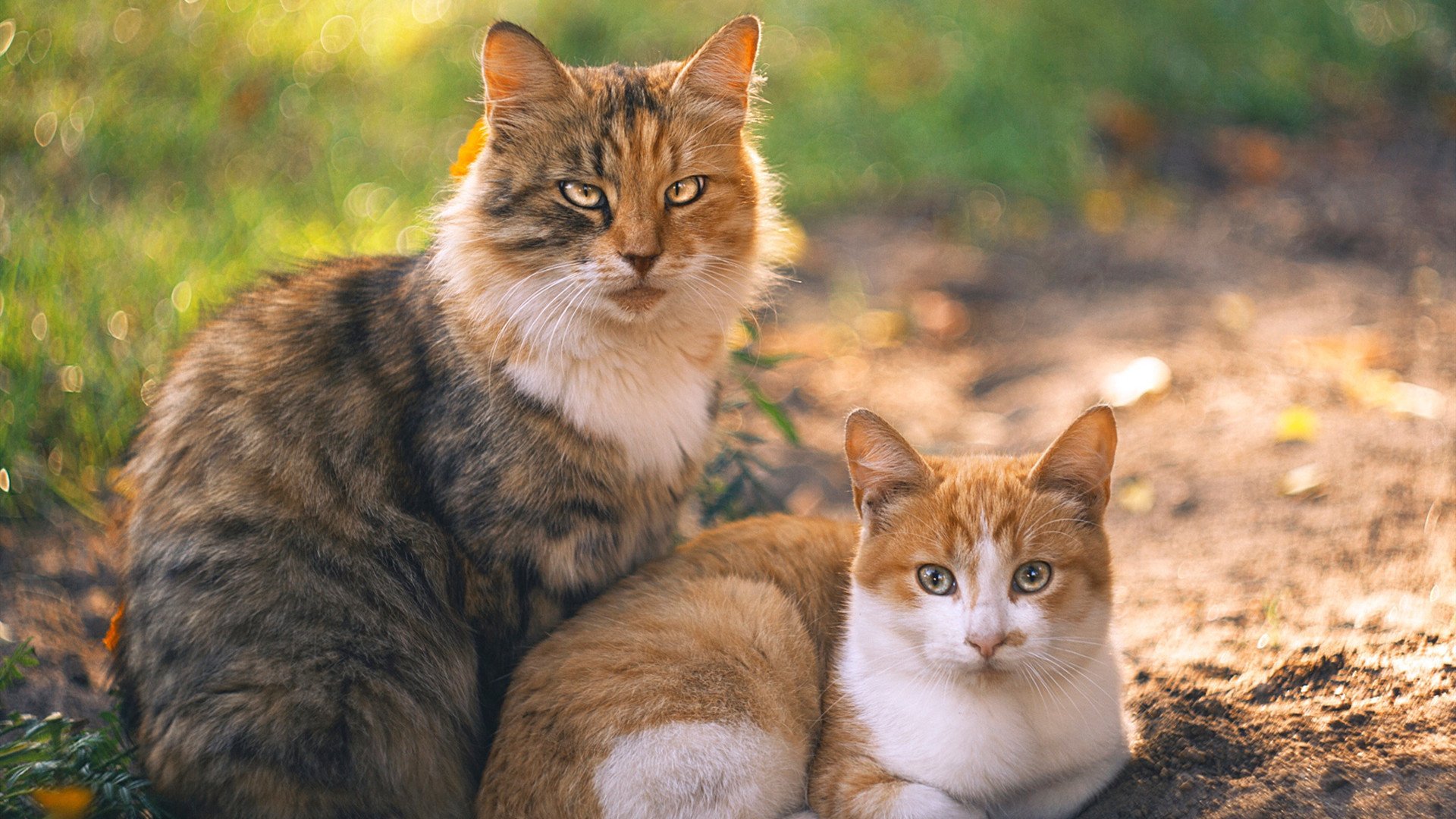 太阳VS勇士巅峰对决，德罗赞37分主宰末节，诠释何为关键先生