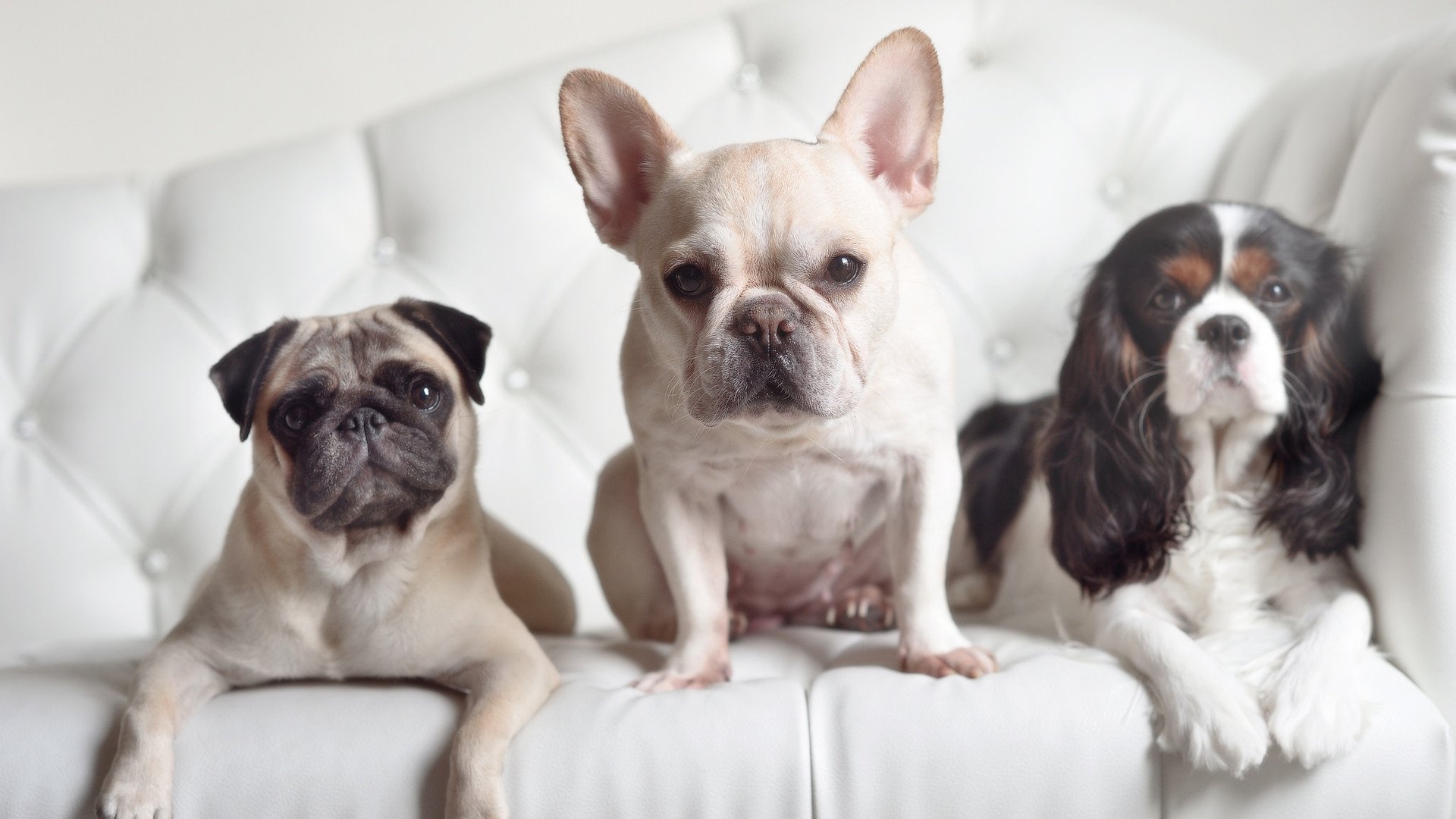 开云体育app-开拓者三分雨浇灭热火悬念，字母哥野兽数据宣告王权更迭