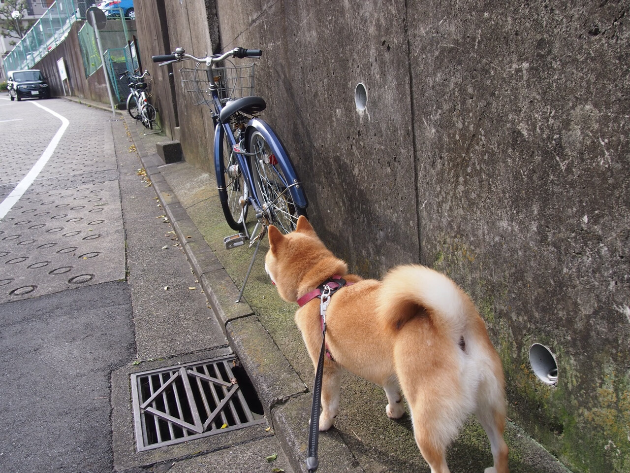 加时鏖战，英雄崛起，乌克兰力克克罗地亚，苏亚雷斯扛起全队铸就传奇