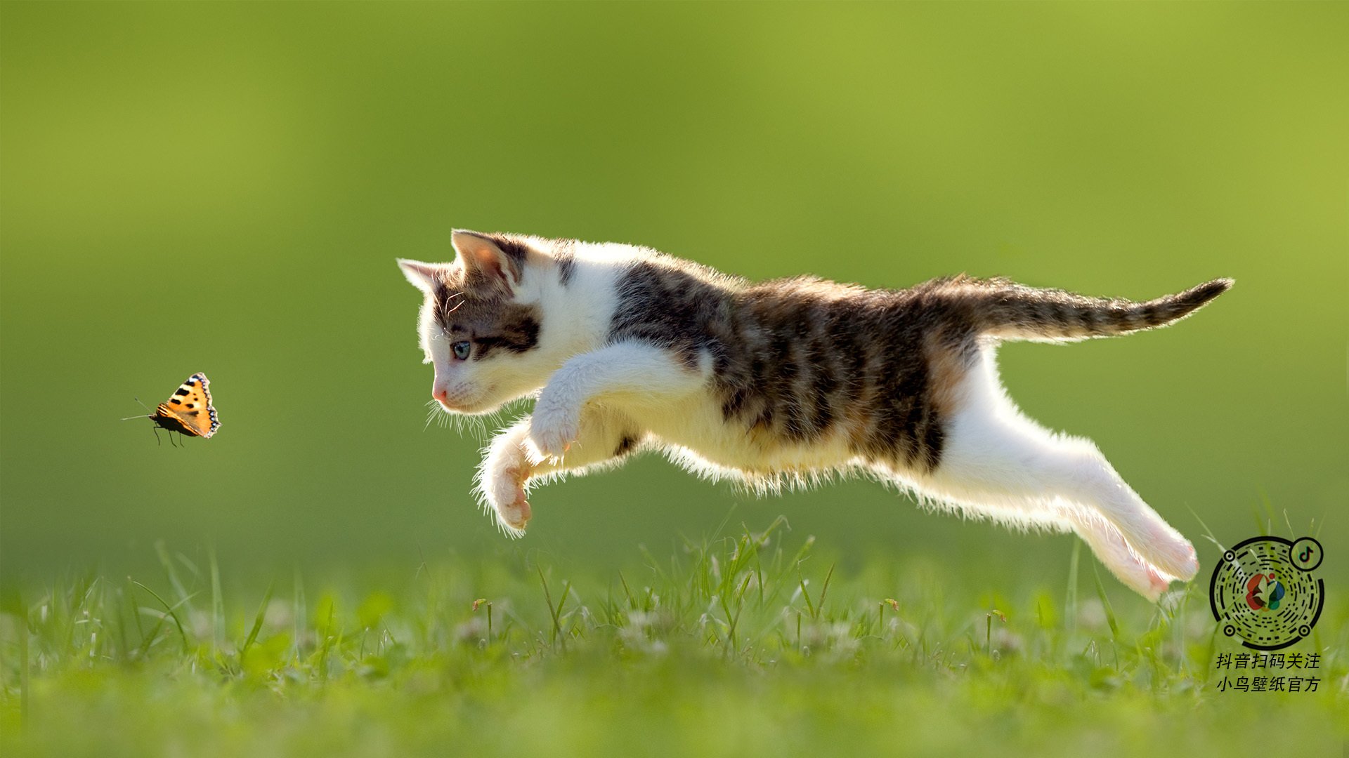 开云体育APP下载-意甲焦点战，豪门对决，快船制霸森林狼，体育周末的双重风暴