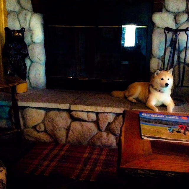 开云官网-中场核爆，若日尼奥的绿茵艺术与那不勒斯的血色街巷